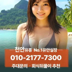 천안노래도우미